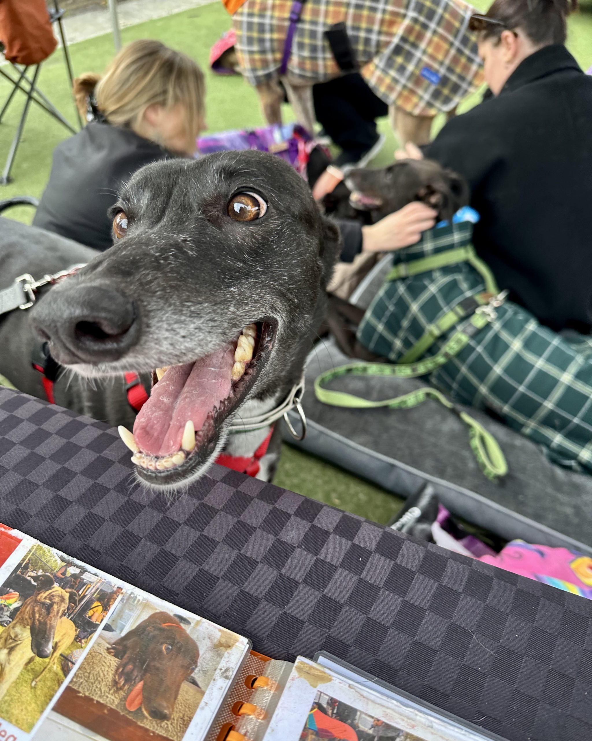 Carlton Farmers Market