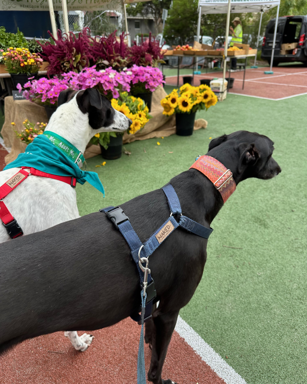 Carlton Farmers Market