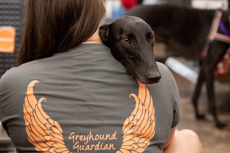 Toby the greyhound's head is visible over a woman's shoulder, who is photographed from behind. She is wearing a shirt with an image of angel wings beside the text 'Greyhound Guardian.'