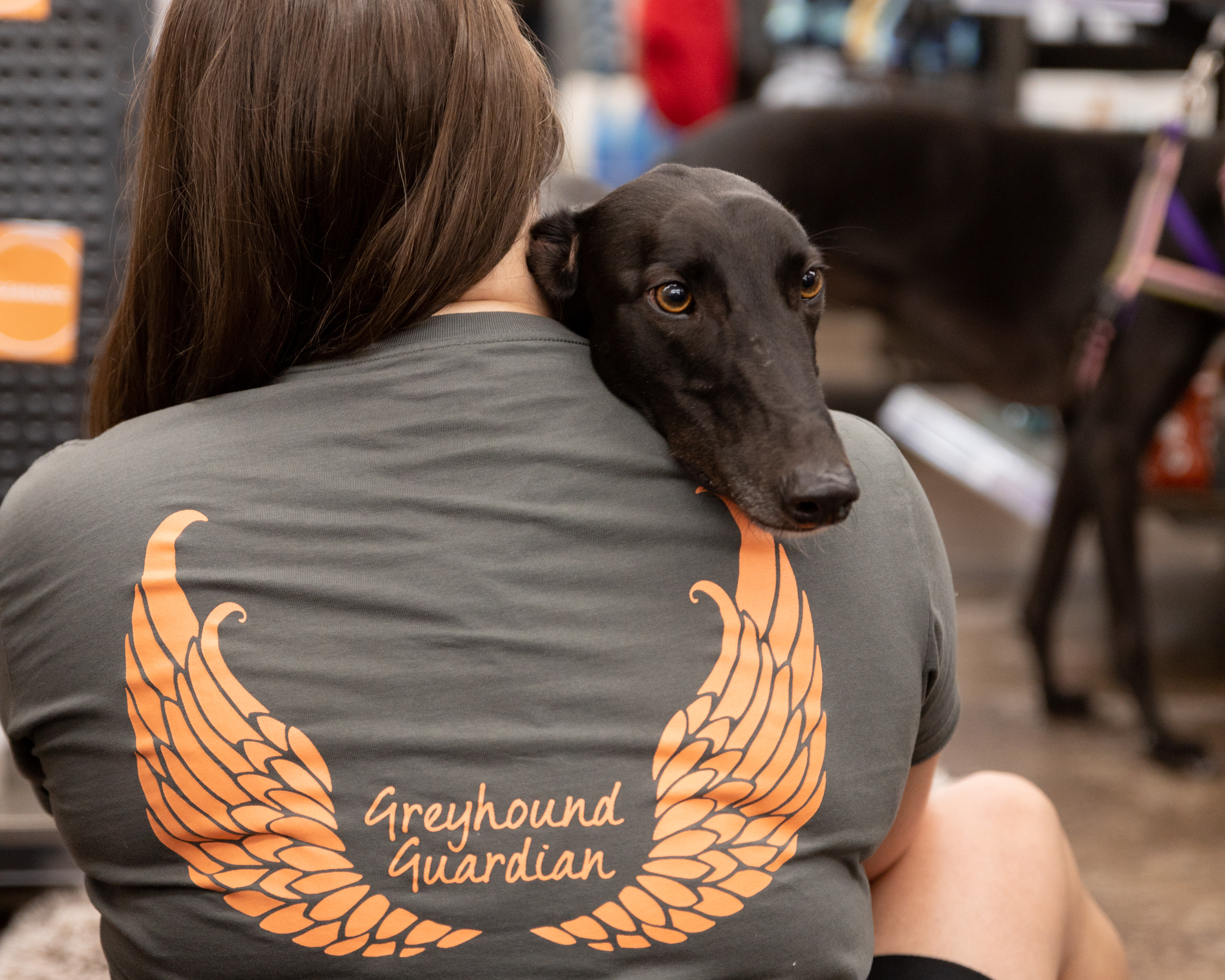 Toby the greyhound's head is visible over a woman's shoulder, who is photographed from behind. She is wearing a shirt with an image of angel wings beside the text 'Greyhound Guardian.'