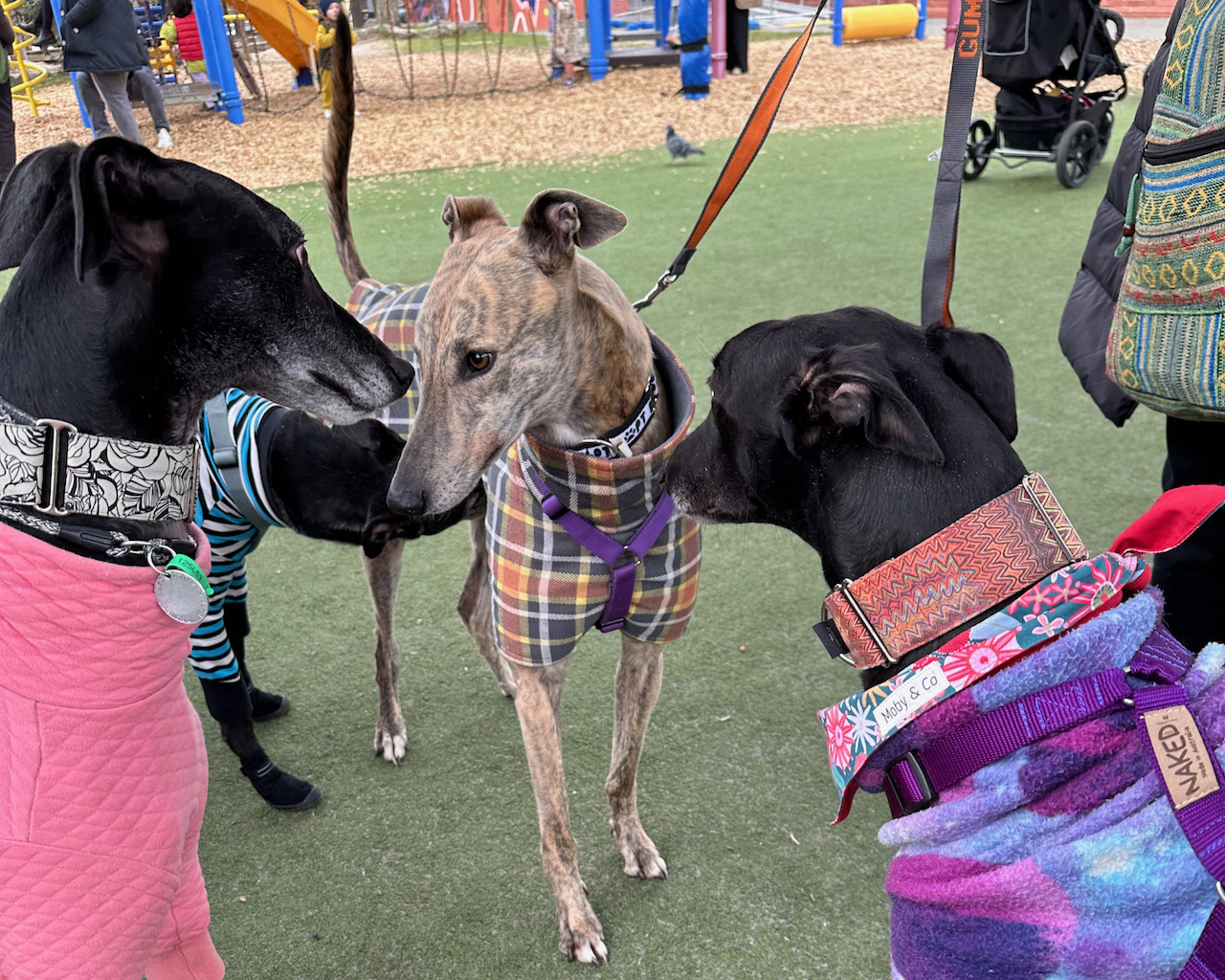 Carlton Farmers Market